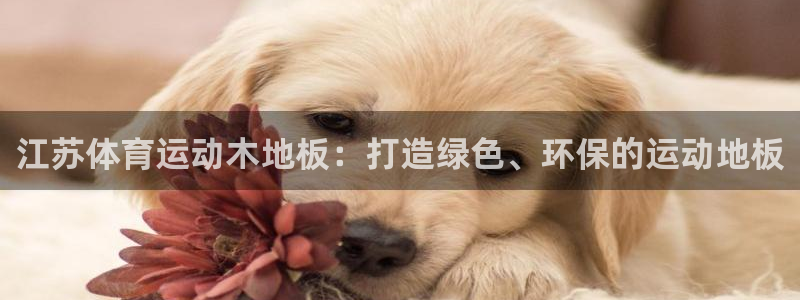 伟德国际2体育：江苏体育运动木地板：打造绿色、环保的运动地板