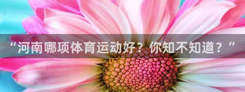意昂3平台注册：“河南哪项体育运动好？你知不知道？”