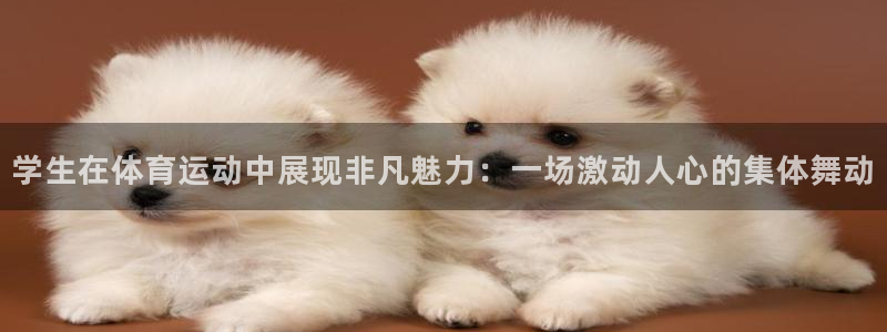 意昂3：学生在体育运动中展现非凡魅力：一场激动人心的集体舞动
