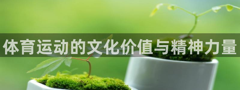 伟德国际代理注册官网入口：体育运动的文化价值与精神力量