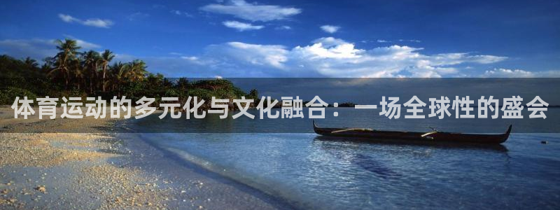 伟德国际体育和杏耀是哪个公司的：体育运动的多元化与文化融合：一场全球性的盛会