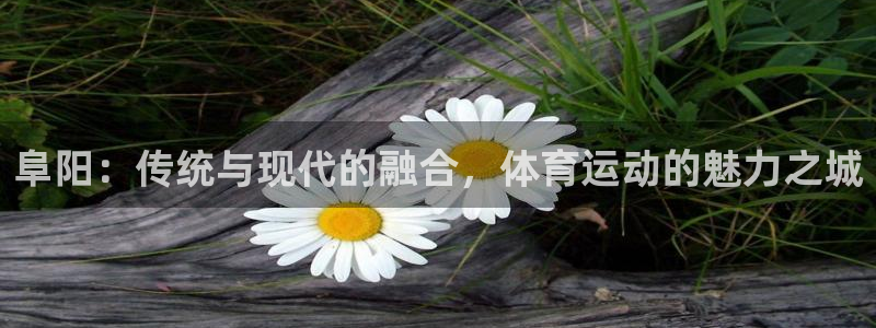 伟德国际2注册：阜阳：传统与现代的融合，体育运动的魅力之城
