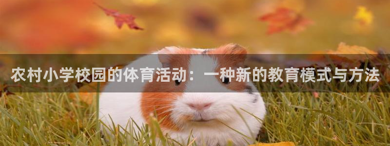 伟德国际体育凯捷平台主管：农村小学校园的体育活动：一种新的教育模式与方法