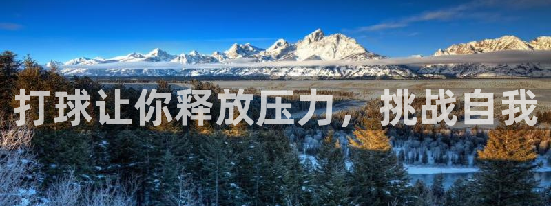 意昂5平台：打球让你释放压力，挑战自我