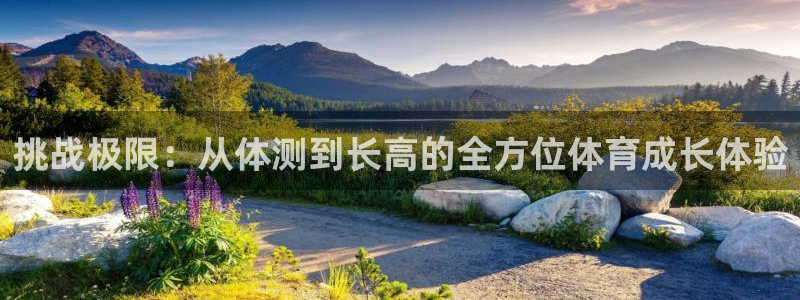 伟德国际4代理：挑战极限：从体测到长高的全方位体育成长体验
