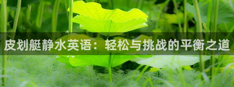 伟德国际电子有限公司：皮划艇静水英语：轻松与挑战的平衡之道