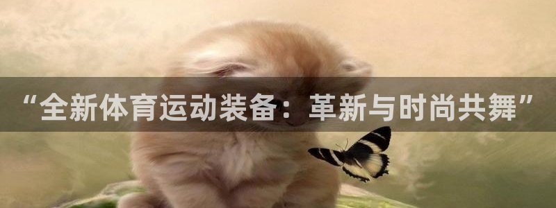 伟德国际2登录入口：“全新体育运动装备：革新与时尚共舞”
