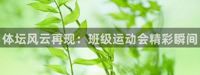 伟德国际体育论坛：体坛风云再现：班级运动会精彩瞬间